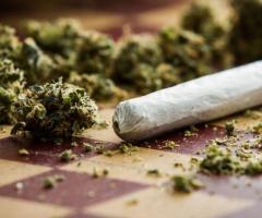 Get Top Services from Best Washington DC Weed Dispensaries
