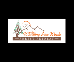 The Whistling Pine Woods – Where Nature Whispers & Memories Echo