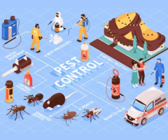On Demand Pest Control App Development - The App Ideas