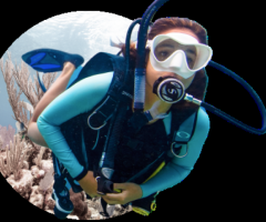 Dive Packages Cancun - 1