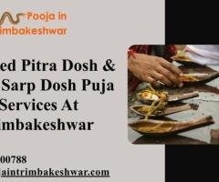 Trusted Pitra Dosh & Kaal Sarp Dosh Puja Services At Trimbakeshwar