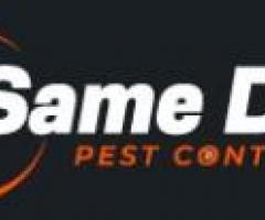 Comprehensive Moth Control Brisbane – Professional Treatment, Removal, and Moth Control Services