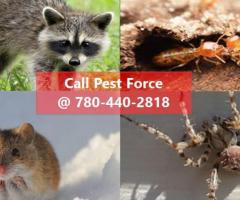 Edmonton Pest Exterminators | Pestforce.ca - 1