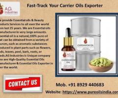 Fast-Track Your Carrier Oils Exporter