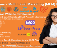 Mlm Customized Software Development Service | Mlm ecommerce website development Cheap Price - 1