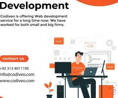 Code Your Dreams into Reality: Choose Codiveo's Web Development Services