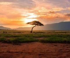 A Once In A Lifetime With Tours And Safaris To Africa