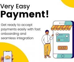 Mastering Business Payments with a Stripe Merchant Account