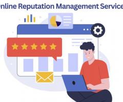 Online Reputation Management in India