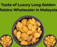 Taste of Luxury Long Golden Raisins Wholesaler in Malaysia
