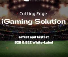 Gambling software services