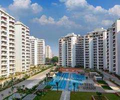 Your Search Ends Here: Residential Property Tarc Sector 63a Gurgaon - 1
