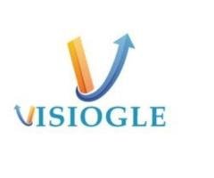 Grow Your Online Presence With Visiogle Website Development Solutions