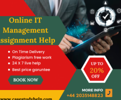 Best IT Management Assignment Help Online for MBA Students