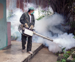 Mosquito Control Services in Pune