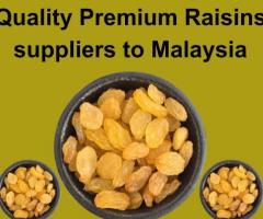 Quality Premium Raisins suppliers to Malaysia