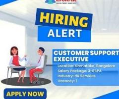 Customer Support Executive Job At Solasta Ayer Pvt. Ltd.