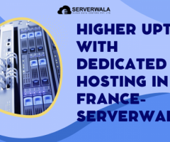 Higher Uptime with Dedicated Hosting in France- Serverwala - 1