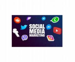 Social Media Marketing (SMM) Company In Faridabad- Think Web