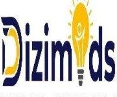 WordPress Website Design | Dizimods – Creative & Responsive Website Design Solutions