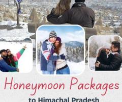 Small package Ooty Mysore Honeymoon Package