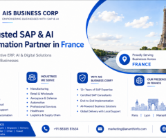 sap b1 partner in france