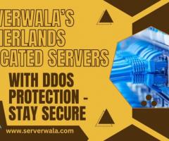 Get Serverwala’s Netherlands Dedicated Servers with DDoS Protection