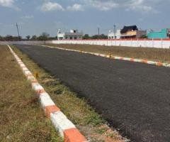DTCP Approved Plot Available in Aranvoyal Village