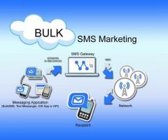 Top bulk sms services in Delhi
