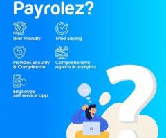 Best hr payroll management service in india -payrolez