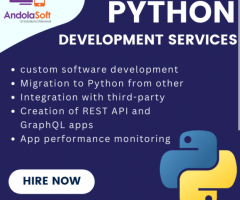 Python Development Services Company