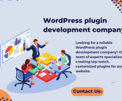 WordPress plugin development company
