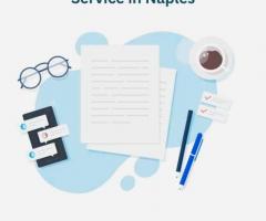 Journal paper and article Writing Service in Naples
