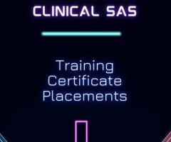 Clinical SAS Training with placements