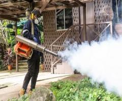 First Choice Specialist Pest: Your Solution For Mosquito Control In Singapore