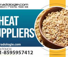 Wheat Suppliers