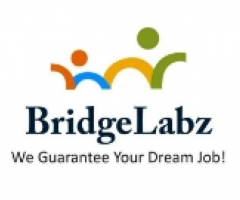 IT Jobs in Mumbai for Freshers - Bridgelabz