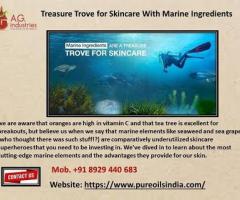 Treasure Trove for Skincare With Marine Ingredients