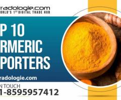 Top 10 Turmeric Exporters