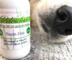 Find CBD Full Spectrum Tincture for Pets