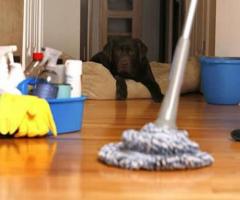 Professional End of Tenancy Cleaning Services in Bristol