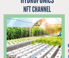 One of the Best Hydroponics NFT Channels | Inhydro
