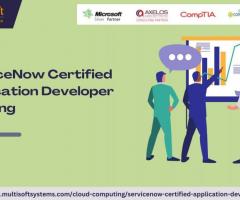 ServiceNow Certified Application Developer Online Training - 1