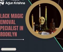 Best Indian Astrologer in Brooklyn - Psychicarjunkrishna.com