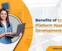 What is Cross-Platform Application Development?