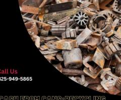 Cash From Cans:Recycling Assorted Metals