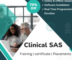 Clinical SAS training and placements with certificate - 1