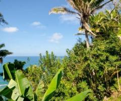 Land for Sale in San Pancho - 1