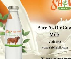 A2 milk near me & Bilona ghee desi cow milk Nagpur price