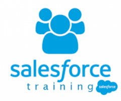 Salesforce Training Online:  Learn it now